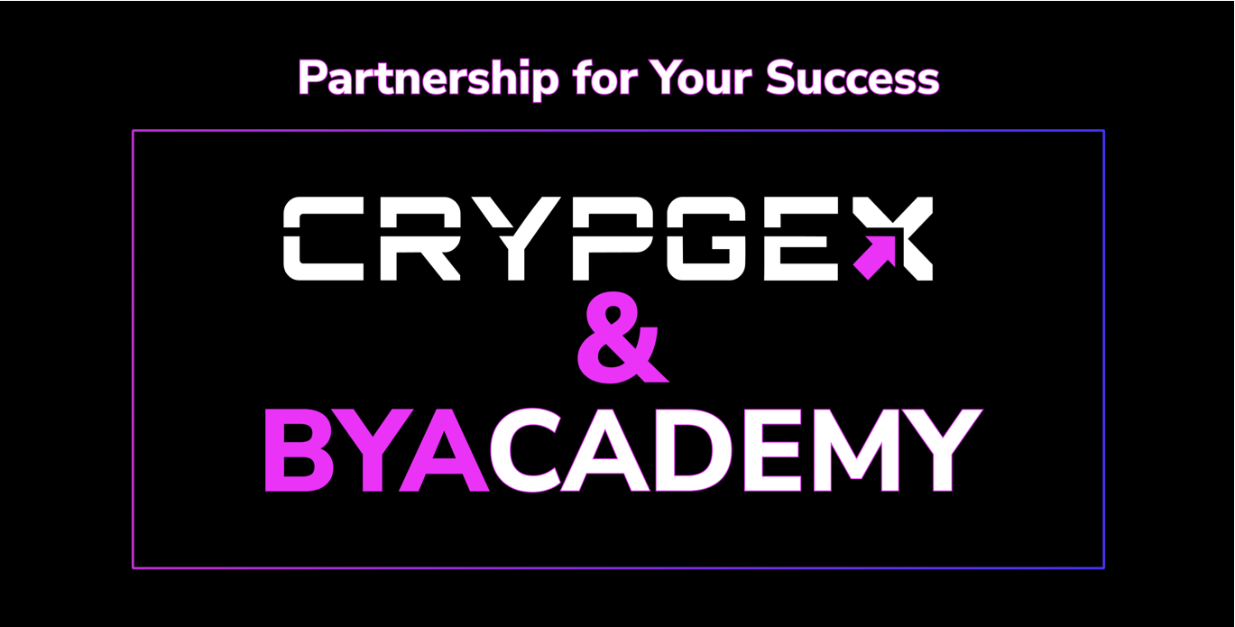 Take the training: from beginner to crypto expert